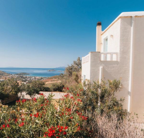 Villa Il Paradiso Andros
